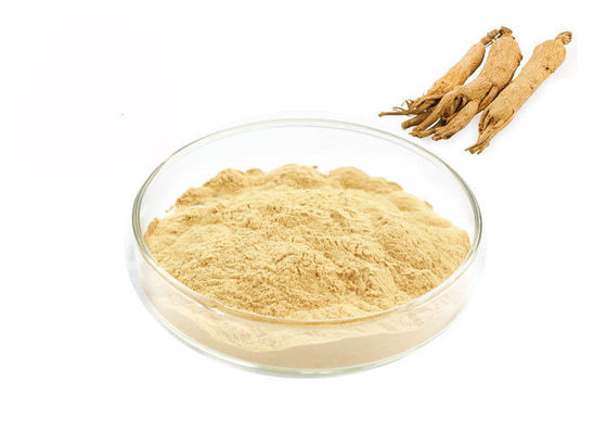 Perawatan Kesehatan Meningkatkan Kekebalan Tubuh Akar Ginseng Extract pemasok