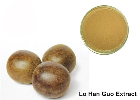 Mogroside V Luo Han Guo Ekstrak Bubuk pemasok