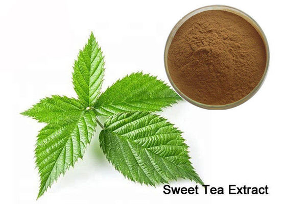 Tonify Ginjal 80% Rubusoside Sweet Tea Natural Powder Pemanis pemasok