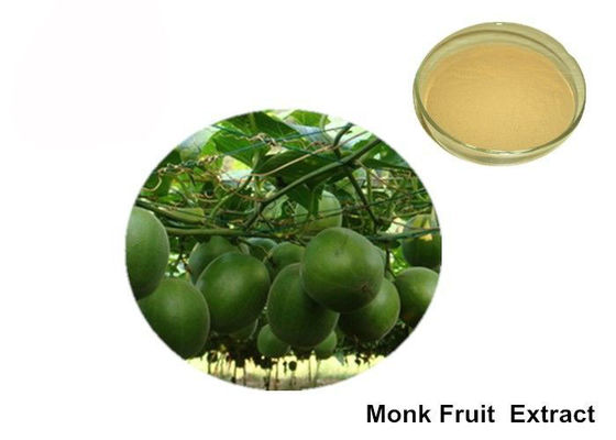 40% Bubuk Pemanis Alami Buah Biksu Mogroside Organik pemasok