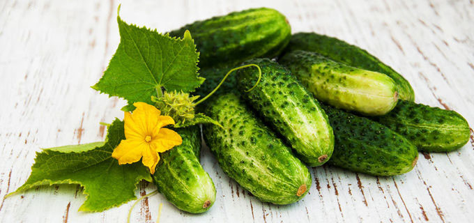 Ekstrak Buah Cucumis Sativus Larut Air Anti Penuaan Untuk Kulit 0