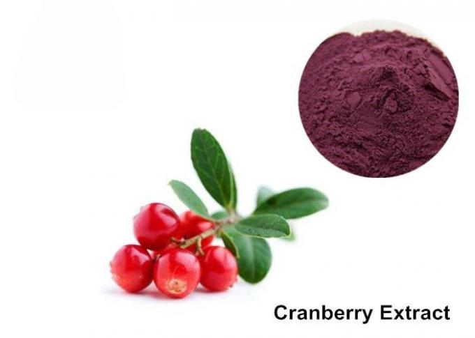 Buah Cranberry Ungu Merah 25% Anthocyanin Extract Powder 0