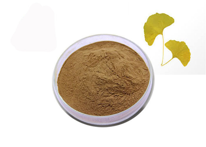 24% Flavon 6% Lakton Ekstrak Ginkgo Biloba Murni Alami 0