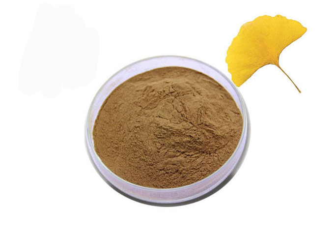 Kelas Farmasi Ginkgo Biloba Extract Powder Untuk Perawatan Kesehatan 0
