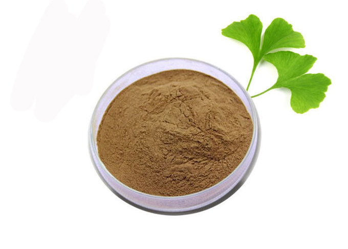 Mengatur Lemak Darah 24/6 Ekstrak Standar Ginkgo Biloba 0