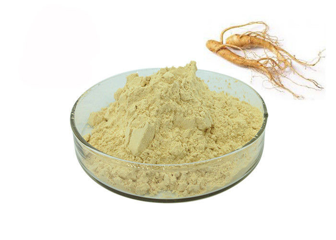 30% Ginsenosides Anti Aging Light Yellow Ginseng Extract Powder 0