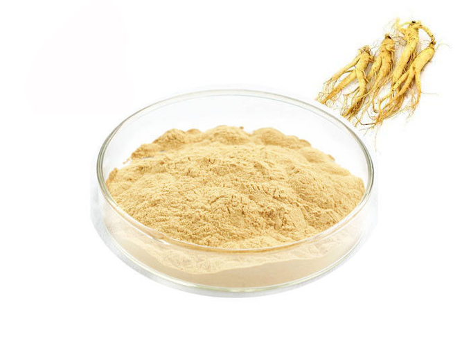 Food Grade Panaxoside Ginseng Extract Powder Untuk Produk Kesehatan 0