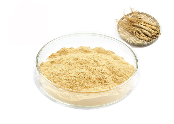 Organik Siberia Akar 30% 80% Ginsenosides Pure Ginseng Extract 0